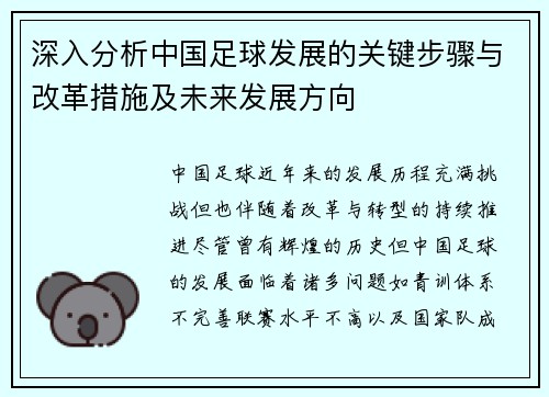 深入分析中国足球发展的关键步骤与改革措施及未来发展方向
